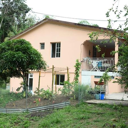 Saint-Joseph Maison Lavanne מראה חיצוני תמונה