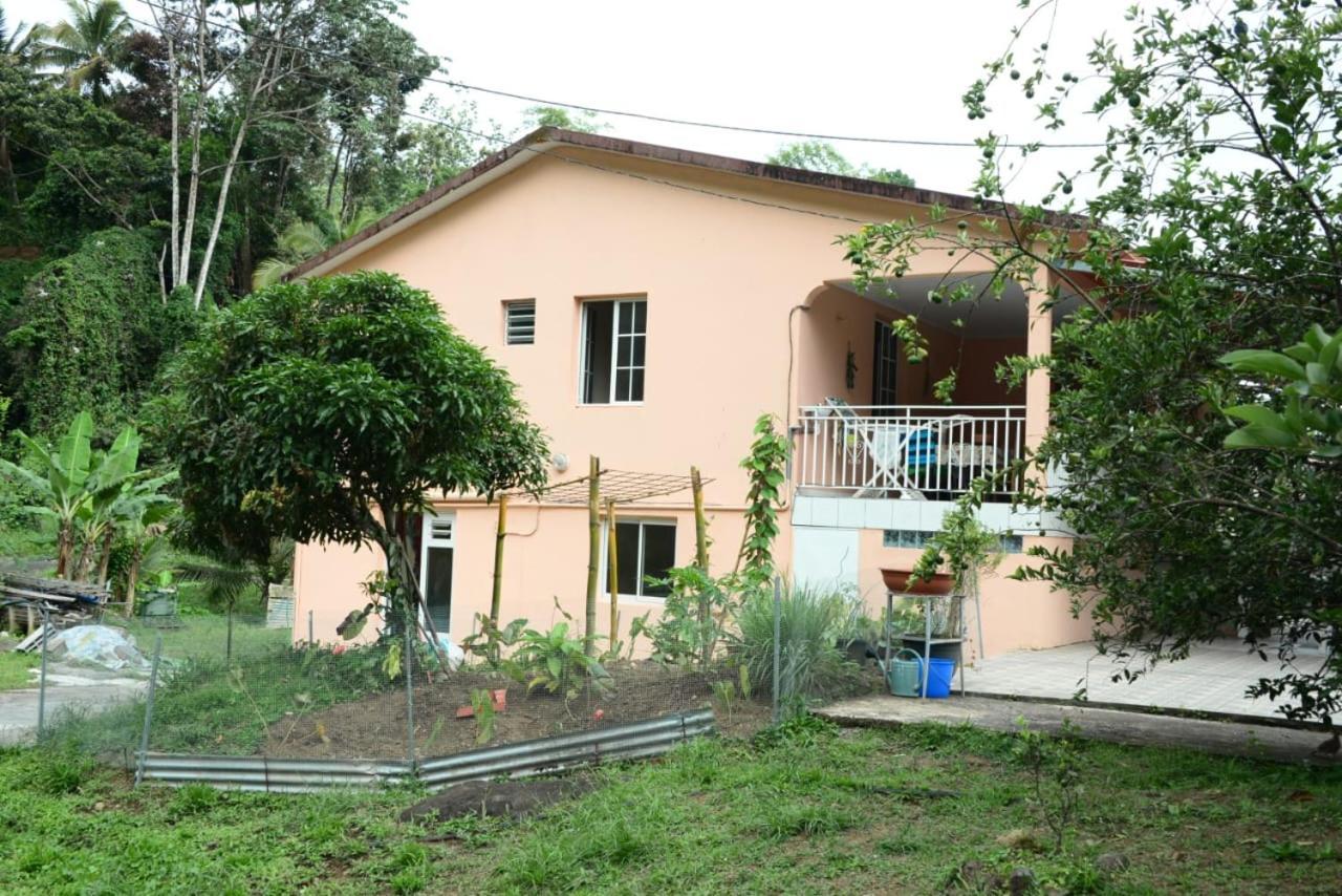 Saint-Joseph Maison Lavanne מראה חיצוני תמונה